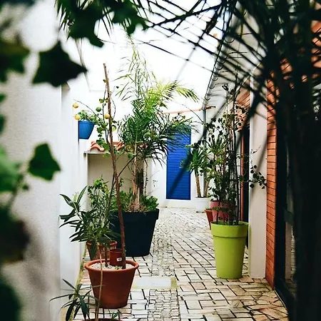 Appartement One Bedroom At 100 M Away From The Beach With Enclosed Garden And Wifi