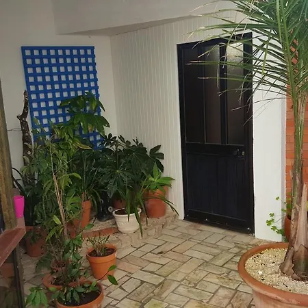 One Bedroom At 100 M Away From The Beach With Enclosed Garden And Wifi Appartement *