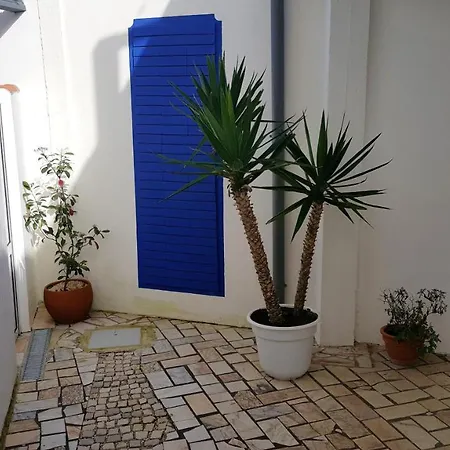 One Bedroom At 100 M Away From The Beach With Enclosed Garden And Wifi Pataias
